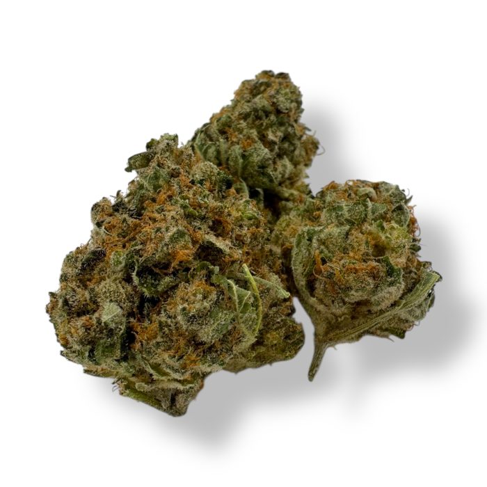 Critical Orange Punch Cannabis Flower- Hybrid
